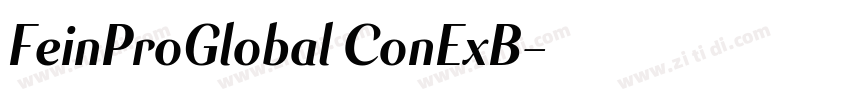 FeinProGlobal ConExB字体转换